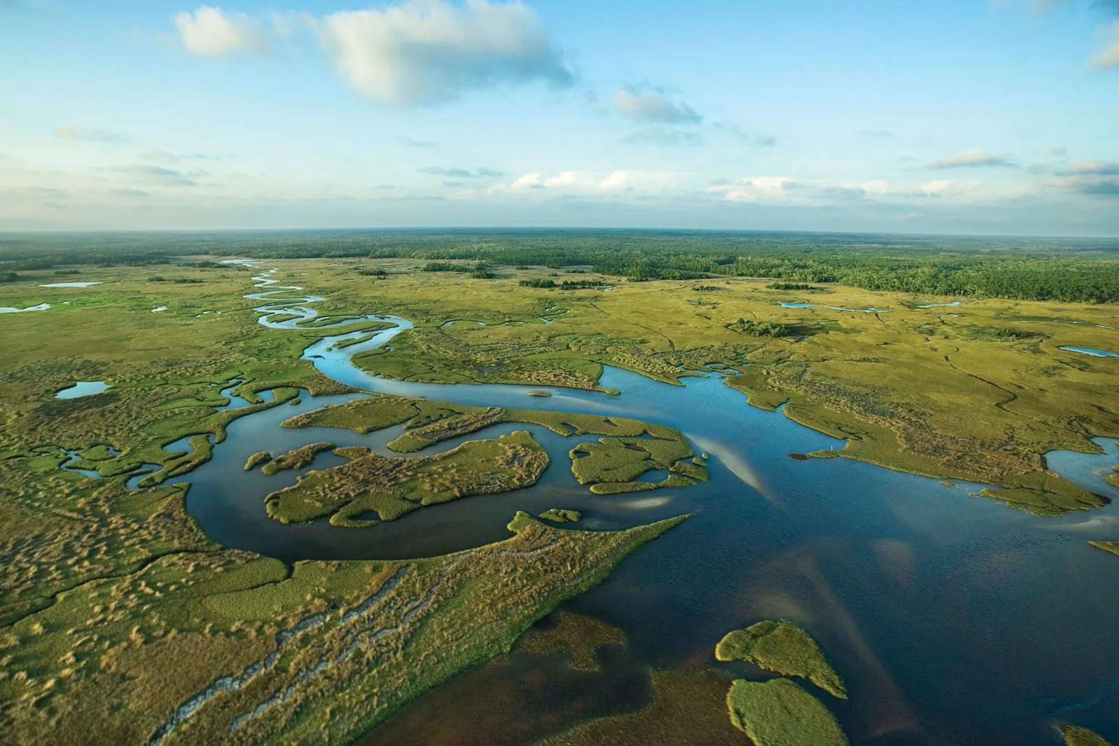 Everglades aerial shot